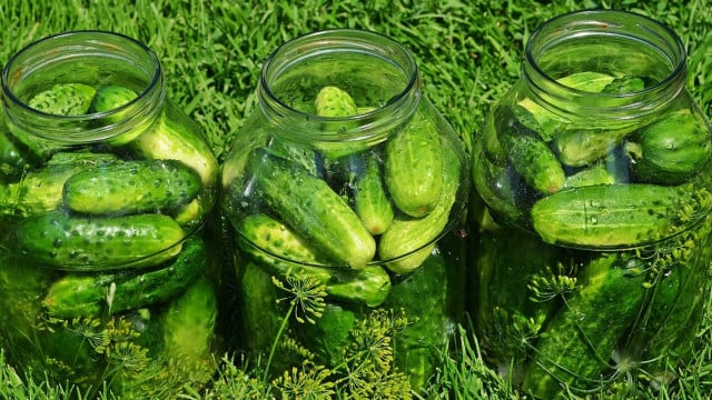 Gurken einlegen: 3 leckere Rezepte für selbstgemachte Essiggurken ...