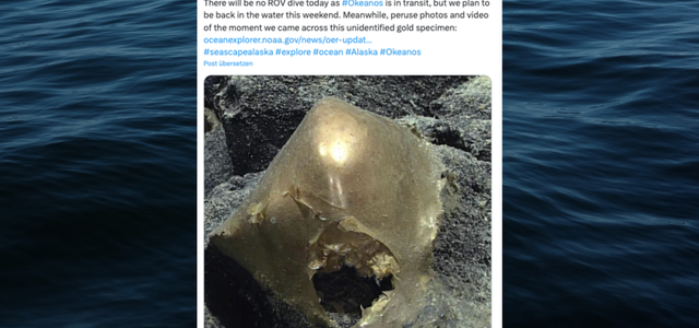 Große Entdeckung? Seltsames "goldenes Ei" von Meeresgrund geborgen