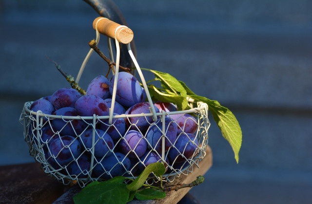 Plums also contain a lot of fiber.