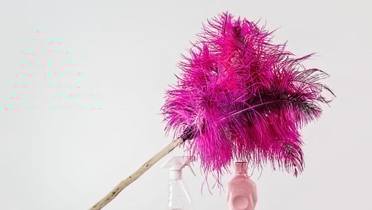 staubwedel-waschen-cc0--pixabay--stevepb-251116 Staubwedel waschen