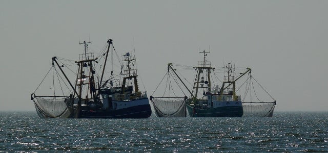 Überfischung