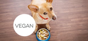 Kann ich meinen Hund vegan ernähren?