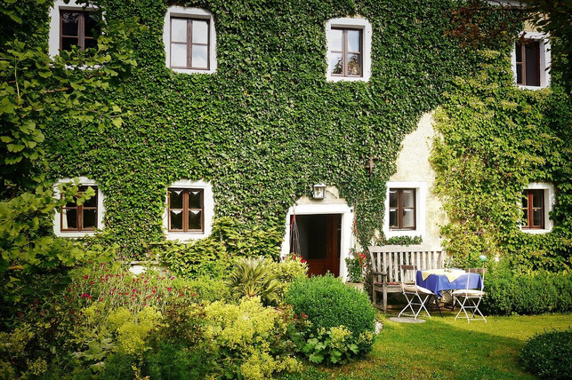 efeu-klettert-gerne-an-hauswaenden-cc0-pixabay-fietzfotos-200101_download Efeu schmückt als immergrüne Kletterpflanze viele Hausfassaden.