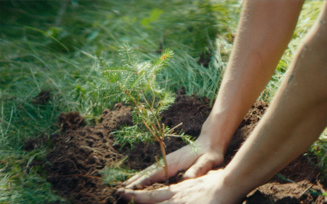 VELUX_Dachfenster_Bild_3 VELUX Dachfenster nachhaltig wohnen