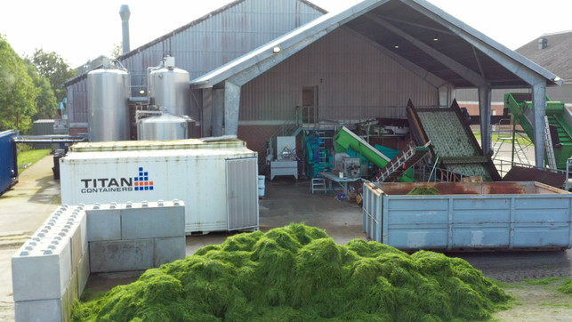 Forschung für Kreislaufwirtschaft: grüne Bioraffinerie in Dänemark Forschung für Kreislaufwirtschaft: grüne Bioraffinerie in Dänemark