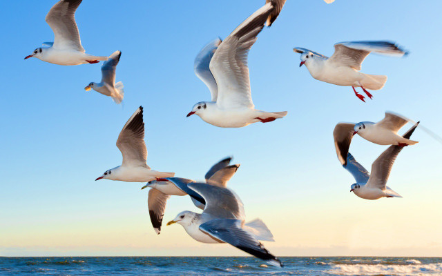 Reisetipps Urlaubstipps Tourismus Reisen Urlaub Reisetipps Urlaubstipps Tourismus Reisen Urlaub