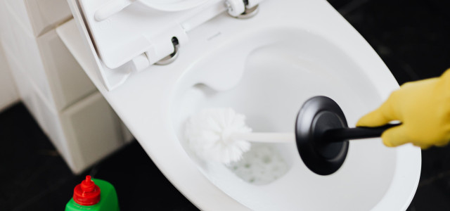 WC putzen: Wann du die Toilette nicht nur putzen, sondern desinfizieren solltest
