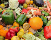 Der WWF hat eine Petition gegen Lebensmittelverschwendung gestartet
