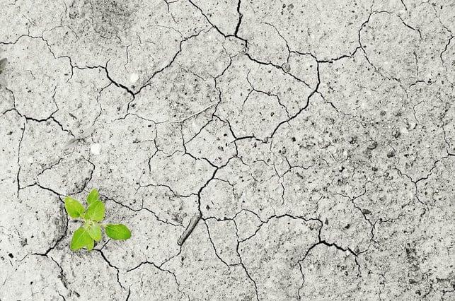 die-folgen-des-klimawandels-bedrohen-die-globale-e-cc0-pixabay-andreas160578-220817_download Die Folgen des Klimawandels bedrohen die globale Ernährungssicherheit.
