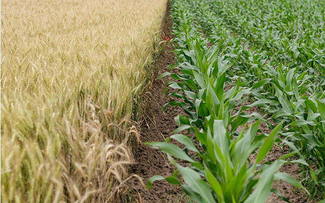 henry-be-unsplash-640x400 nachhaltige geldanlage nachhaltig wirtschaften umweltschutz