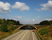 Grünbrücke