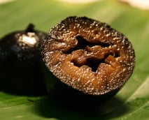 Schwarze Nüsse: Rezept für eingelegte Walnüsse