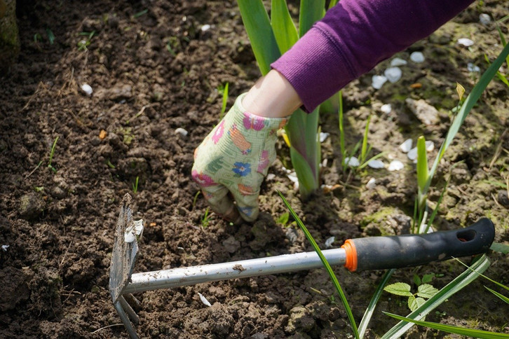 Garten umgraben: Zeitpunkt, Gerte und Anleitung - Utopia.de