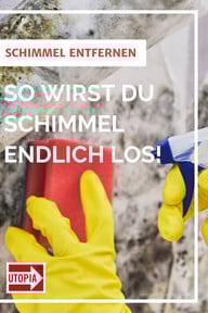 schimmel-entfernen-getty-yavdat-200124 Schimmel entfernen, aber richtig