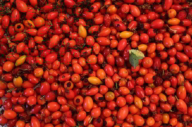 beim-trocknen-solltest-du-hagebutten-immer-wieder-cc0-pixabay-heibergerwork-230913_download Beim Trocknen solltest du Hagebutten immer wieder wenden