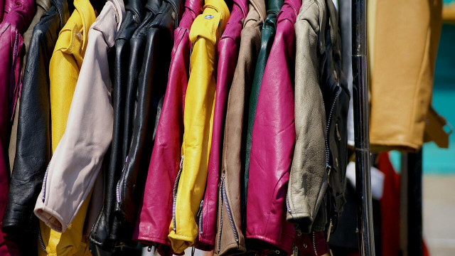 leder-mythen-cc0-pixabay-rose_mcavoy-220709 Leder Mythen