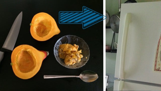 kuerbis-einfrieren-rhea-moutafis-utopia-cc0-pixabay-bapreston-170929 kürbis einfrieren