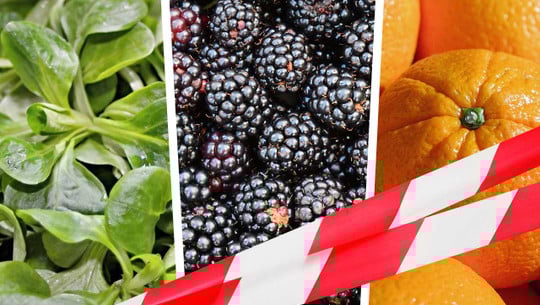 Das Dreckige Dutzend: Diese 12 Obst- und Gemüsesorten solltest du nur bio kaufen Dreckiges Dutzend: 12 Obst- und Gemüsesorten, die du Bio kaufen solltest