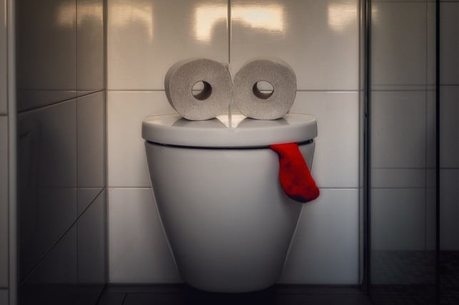 schliesse-vor-dem-spuelen-den-toilettendeckel-um-di-cc0-pixabay-tama66-230825_download Schließe vor dem Spülen den Toilettendeckel, um die Ausbreitung von Krankeitserregern zu vermeiden.
