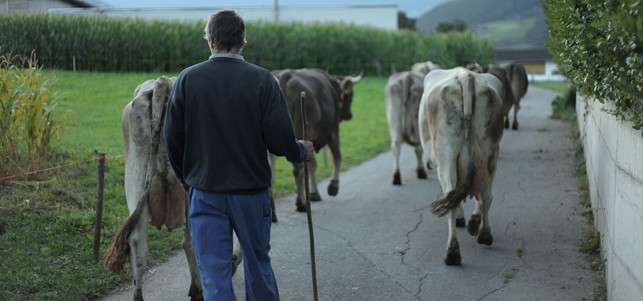 Film-DasSystemMilch-biobauer-z-EIKON-Media-und-MIRAMONTE-FILM-Falco-Seliger-170809-1280x600 Filmtipp: Das System Milch