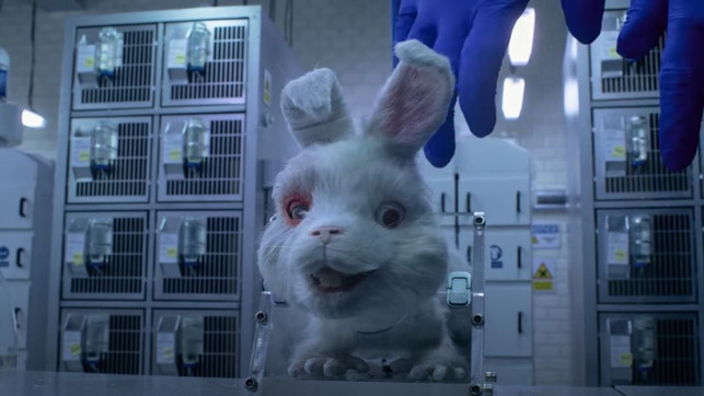 rettet-ralph-video-labor-tierversuche-kosmetik-s-youtube-The-Humane-Society-of-the-United-States-210408-1280x720 Tierversuche, Video, Youtube, taiki waititi, Save Ralph