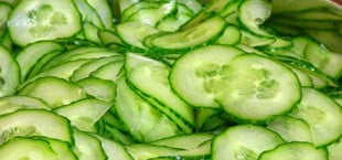 Jeden Tag Gurken essen