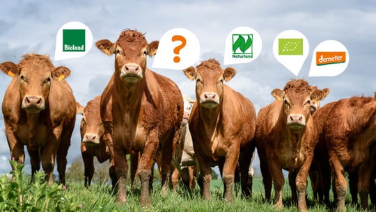 fleisch-bio-anbau-verbaende-w-scpictures-190614-1280x720 Bio-Siegel: Was haben Tiere von Bio-Tierhaltung?