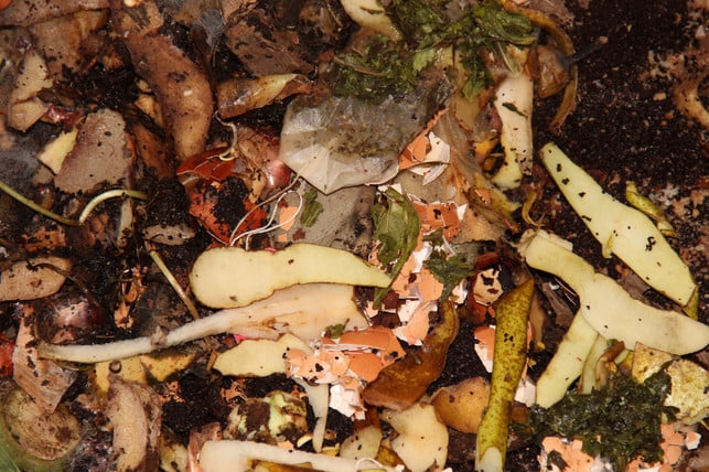 in-der-wurmkiste-zersetzen-kleinstlebewesen-den-bi-jana-fischer-utopia-180206_download In der Wurmkiste zersetzen Kleinstlebewesen den Biomüll, bis die Würmer ihn in wertvollen Humus umwandeln.