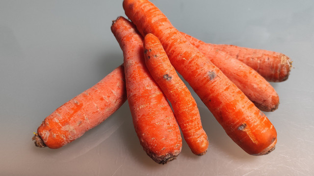 moehren-utopiafrederike-riemann-240423 Möhren