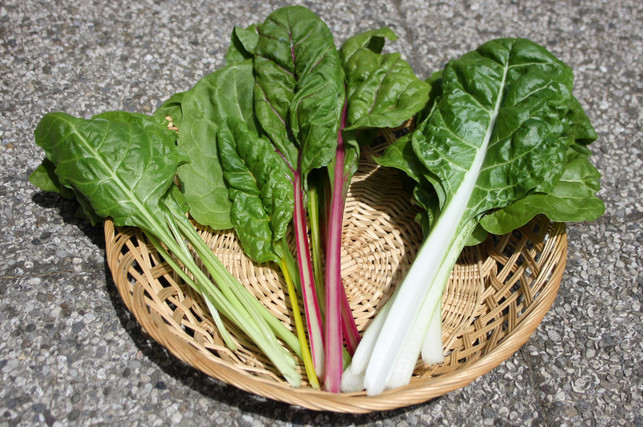 fuer-mangold-quiche-verwendest-du-am-besten-blattma-maria-hohenthalutopia-200609_download Für Mangold-Quiche verwendest du am besten Blattmangold.