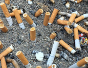 Zigarettenstummel Kippe Rauchen Umwelt Abfall Müll
