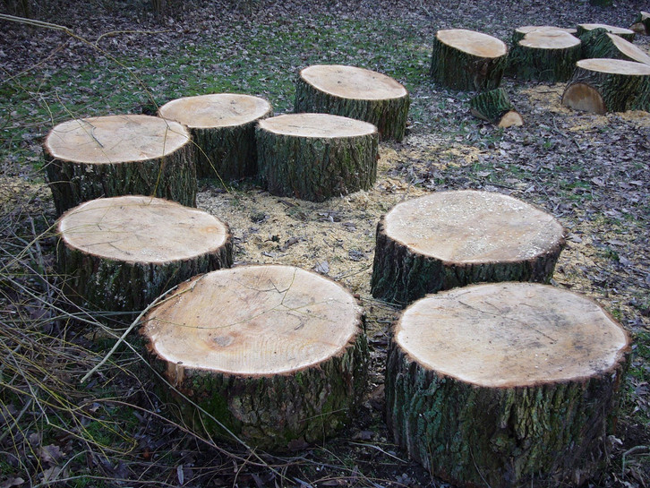 Kratzbaum selber bauen: Einfaches Katzenspiel aus Naturmaterialien -  Utopia.de