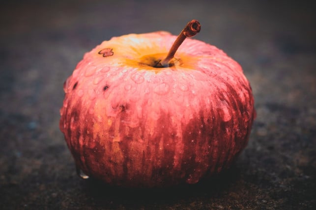 je-duenner-die-apfelscheiben-desto-knuspriger-werd-cc0-pixabay-comfreak-191101_download Je dünner die Apfelscheiben, desto knuspriger werden sie.