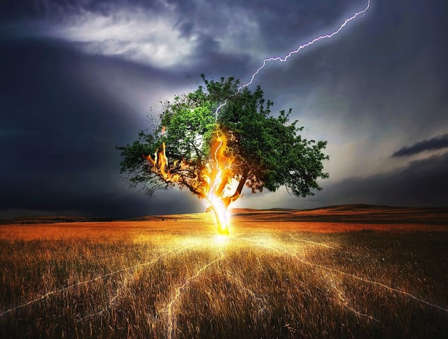 wie-sicher-bist-du-bei-gewitter-unter-einem-baum-cc0-pixabay-comfreak-180606_download Wie sicher bist du bei Gewitter unter einem Baum?