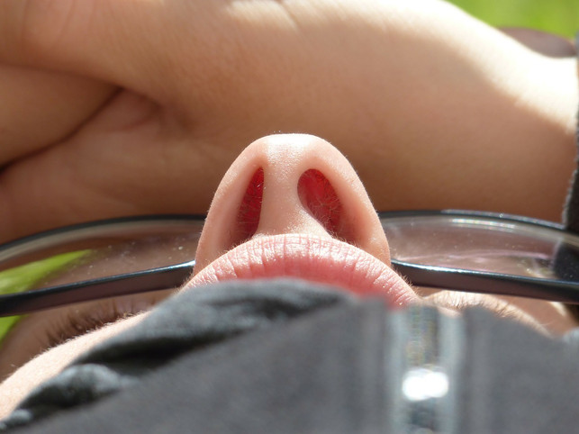 uebertreibe-es-nicht-mit-dem-nasenhaare-entfernen-cc0-pixabay-hans-190712_download Übertreibe es nicht mit dem Nasenhaare entfernen, denn die Härchen haben eine wichtige Funktion als Schmutzfilter.