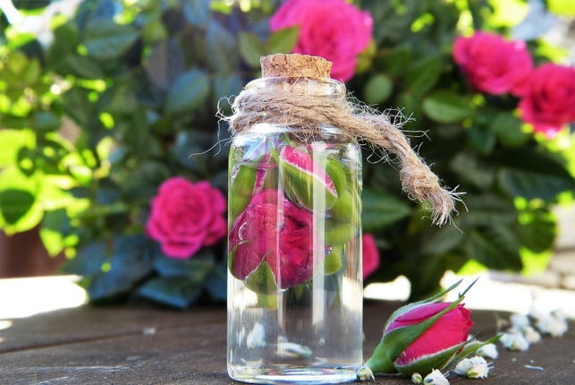 rosenwasser-verleiht-deinem-gesichtswasser-nicht-n-cc0-pixabay-silviarita-190419_download Rosenwasser verleiht deinem Gesichtswasser nicht nur einen angenehmen Duft, sondern auch eine beruhigende Wirkung.