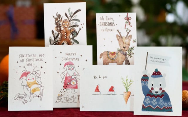 zero-waste-geschenke-2021-einpflanzen-640x400 Zero-Waste-Geschenke zum Einpflanzen