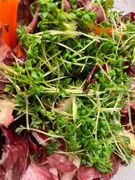 Rohkostsalat mit Sprossen Rohkostsalat mit Sprossen