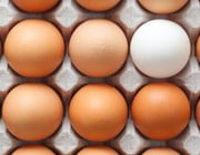 Bio-Eier, Freilandeier, Eier aus Bodenhaltung – welche Eier soll ich kaufen?