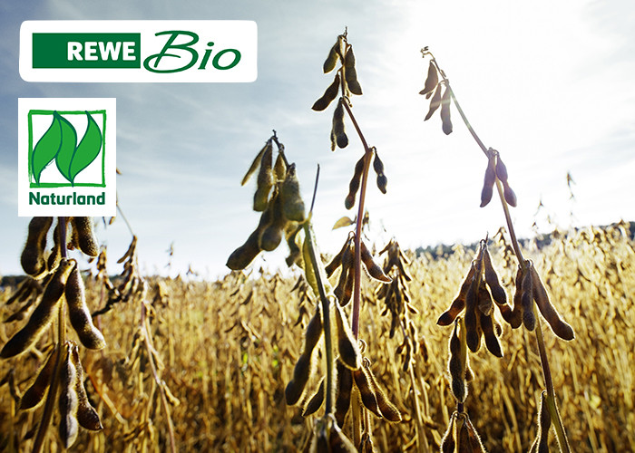 REWE Bio Tofu Naturland; Soja aus Deutschland