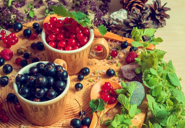 fuer-das-gelee-kannst-du-schwarze-und-rote-johannis-cc0--pixabay--misskursovie2013-250721_download Für das Gelee kannst du schwarze und rote Johannisbeeren mischen.