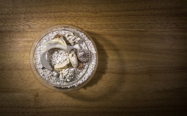 muscheln-im-glas-cc0-pixabay-jeonsango-180829_download Muscheln im Glas