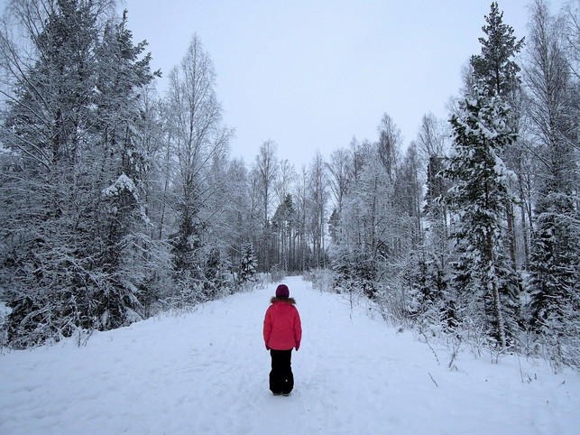 auch-im-winter-sind-kinder-im-waldkindergarten-an-cc0-pixabay-aileino-210708_download Auch im Winter sind Kinder im Waldkindergarten an der frischen Luft.