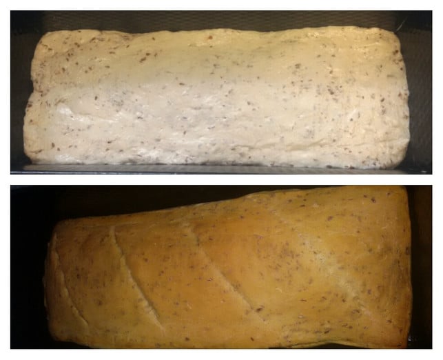 das-sauerteigbrot-kannst-du-gut-in-einer-kastenfor-melanie-von-daake-utopia-170829_download Sauerteigbrot kannst du gut in einer Kastenform backen.