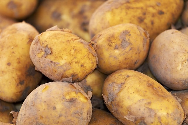 kartoffeln-sind-gesund-obwohl-sie-oft-als-dickmac-cc0-pixabay-couleur-241106_download Kartoffeln sind gesund, obwohl sie oft als Dickmacher angesehen werden.