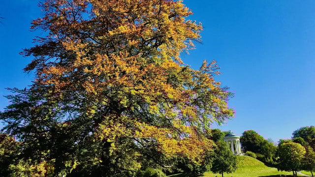 altweibersommer-cc0-pixabay-whitetara-231005 Altweibersommer