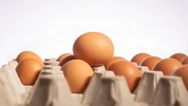 im-kuehlschrank-sind-eier-am-laengsten-haltbar-cc0--pixabay--stewardesign-250608_download Im Kühlschrank sind Eier am längsten haltbar.