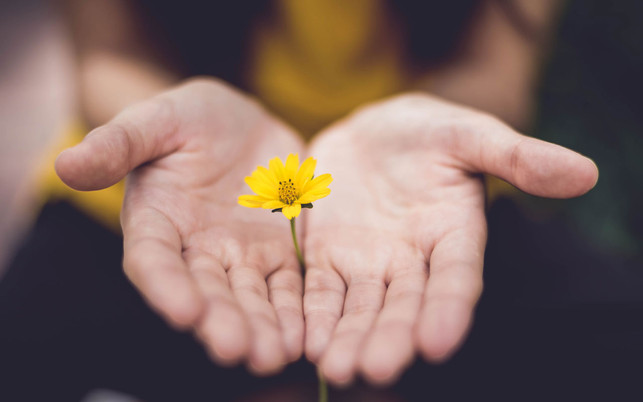 lina-trochez-ktPKyUs3Qjs-unsplash_GLS-BANK_1280x800px GLS Bank Werte Solidarität Coronakrise Gemeinschaft