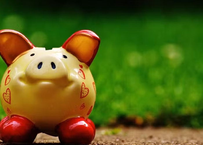 Nachhaltiges Festgeld: Allgemeine Tipps und Zinsvergleich