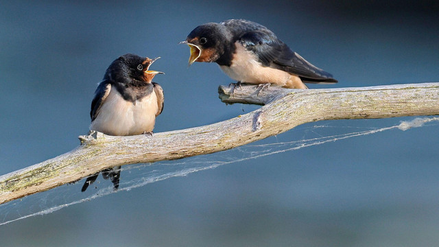 streiten-richtig-regeln-pb Streiten: aber richtig! Warum wir es sollten, wie es gelingt